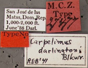 Media type: image;   Entomology 27477 Aspect: labels